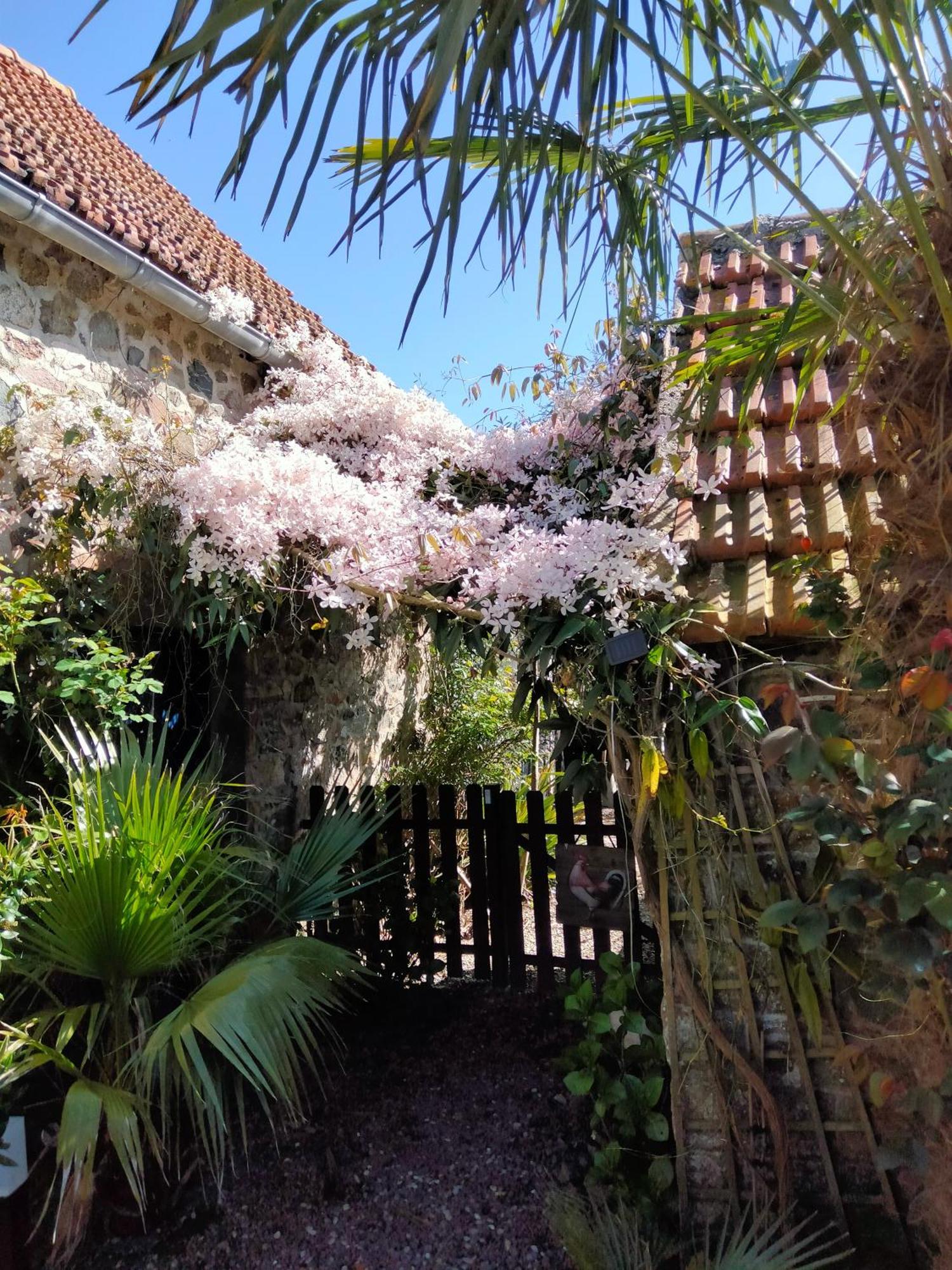 Les Deux Moulins Apartment Saint-Alban  Bagian luar foto